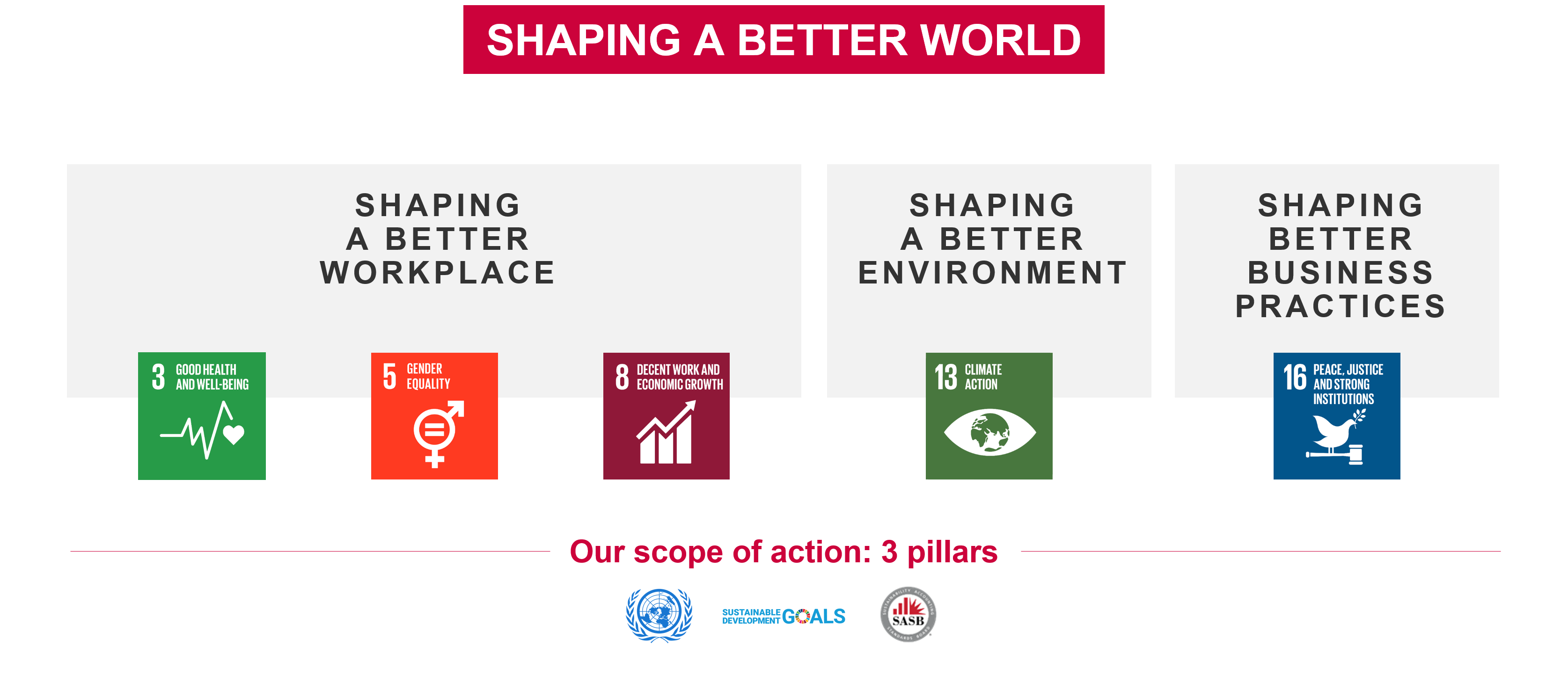 UN Sustainable Development Goals for Bureau Verita