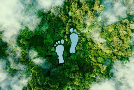 Carbon Footprint Bureau Veritas